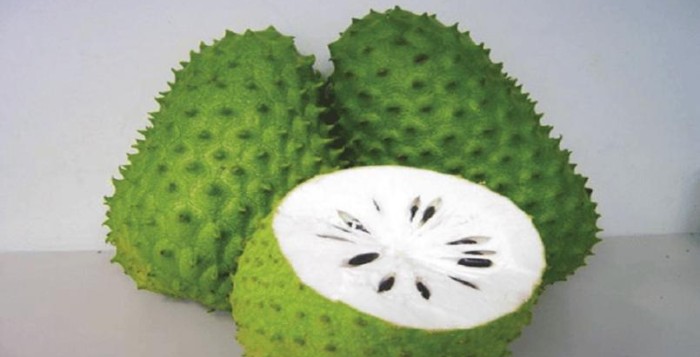 corosol vertus corosol